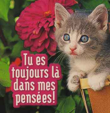 Pour toi